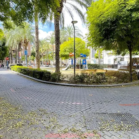 Modern In Carolinas * Alicante